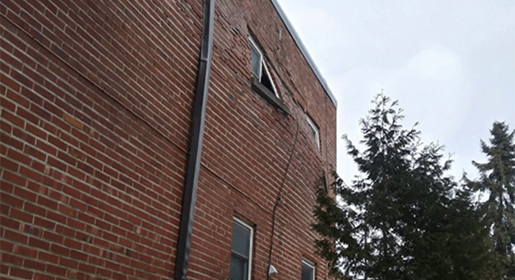 Réparation ventre de boeuf